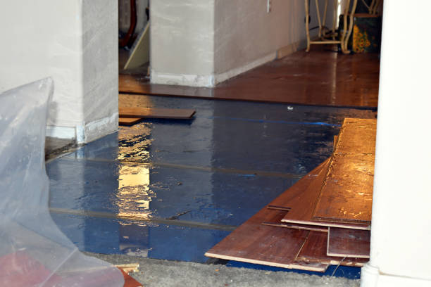 Professional Burst Pipe Cleanup technician working in Garrison, UT